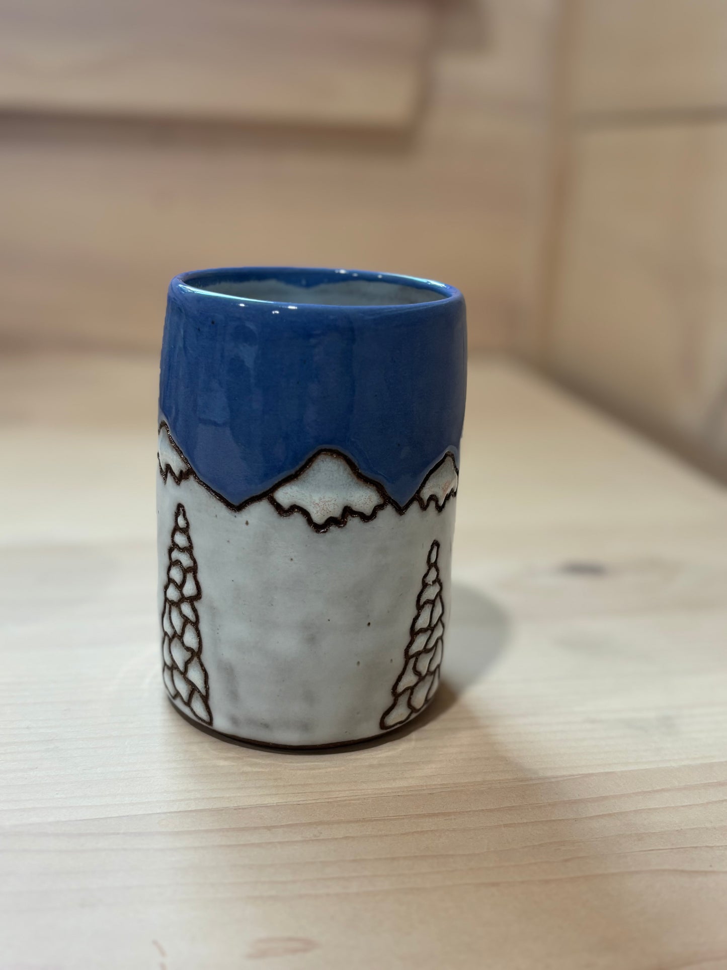 Gondola Snowy Trees Ski Tumbler- Large #2